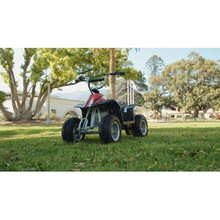 Load image into Gallery viewer, Electric Dirt Quad Ride On